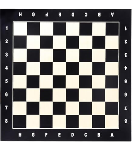 Amazon | Minerva Black and White Extra Heavy Metal Chess Pieces